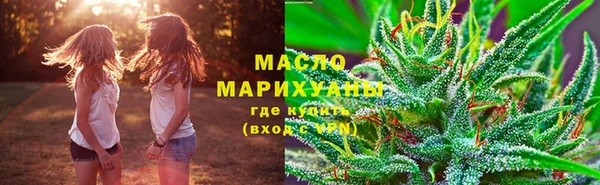дурь Няндома