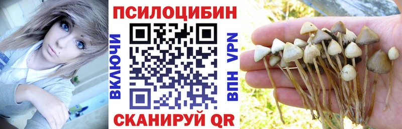 Псилоцибиновые грибы ЛСД  Навашино 